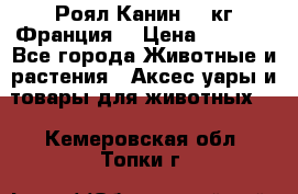  Роял Канин 20 кг Франция! › Цена ­ 3 520 - Все города Животные и растения » Аксесcуары и товары для животных   . Кемеровская обл.,Топки г.